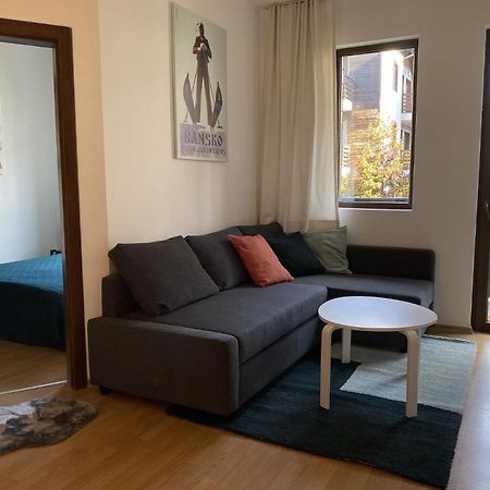 2 Bedroom Apartment Next To Gondola Ski Lift Bansko Exteriör bild